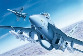 1/72 F/A-18 E/F Super Hornet m