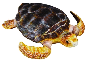 Loggerhead Turtle Figure #8809