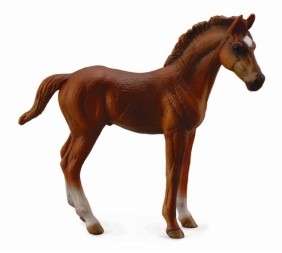 Thoroughbred Foal Standing Fig