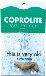 Coprolite-Fossilized Poop #Ccc