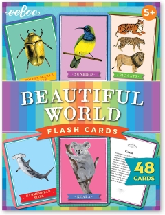 eeboo_beautiful-world-flash-cards_01.jpg