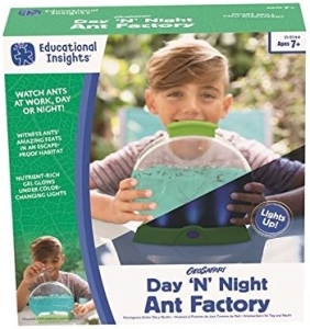 DAY 'N' NIGHT ANT FACTORY