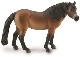 reeves_exmoor-pony-stallion_01.jpg