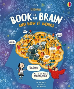 usborne_book-of-the-brain-and-how-it-works_01.jpeg