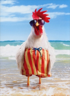 ROOSTER WEARS SWIMSUIT BIRTHDAY CARD