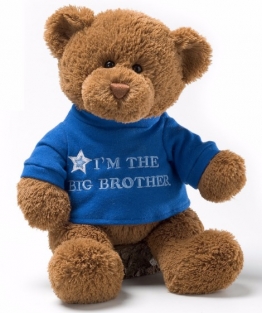 I'M THE BIG BROTHER T-SHIRT BEAR