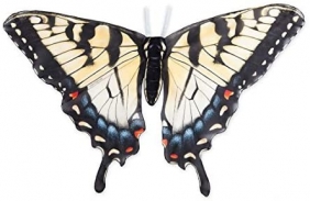 hearthsong_swallowtail-butterfly-wings_01.jpeg