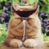 CAT WITH GLASS OF RED WINE BIRTHDAY CARD