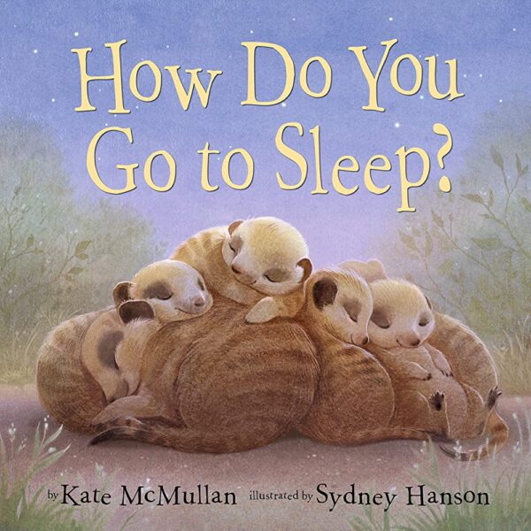 HOW DO YOU GO TO SLEEP? BOARD BOOK