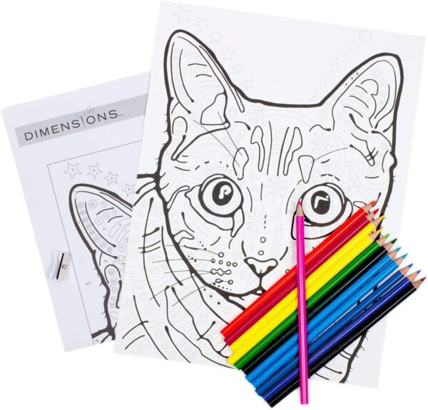 COLORFUL CAT 9"X12" PENCIL BY NUMBER