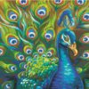 WILD FEATHERS 14"X11" PAINT BY NUMBERS
