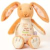 GUESS HOW MUCH...NUTBROWN HARE