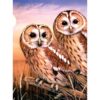 TAWNY OWLS 9"X12"