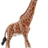 GIRAFFE MALE