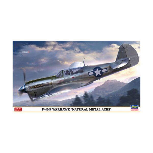 1/48 P-40N WARHAWK NATURAL METAL ACES