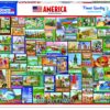 AMERICA 50 STATES COLLAGE 1000