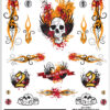 BAD TO THE BONE DRY TRANSFER