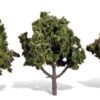 SUN KISSED 4"-5" TREES