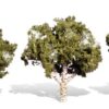WATERS EDGE 4"-5" TREES