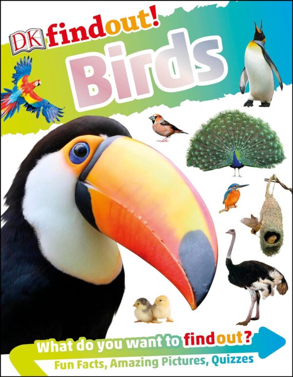 DK FIND OUT! BIRDS