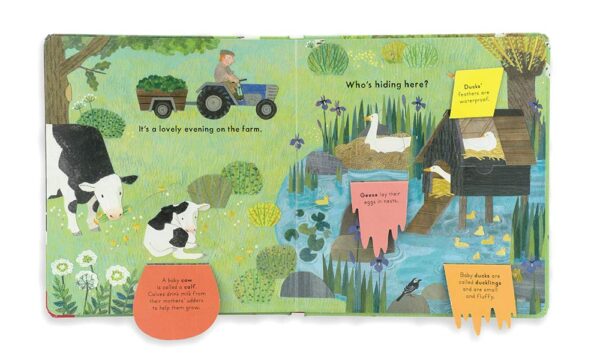 WHO'S HIDING ON THE FARM? (NOSY CROW) - Image 2