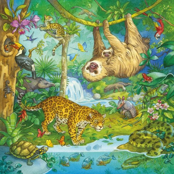 JUNGLE FUN 3X49PC - Image 6