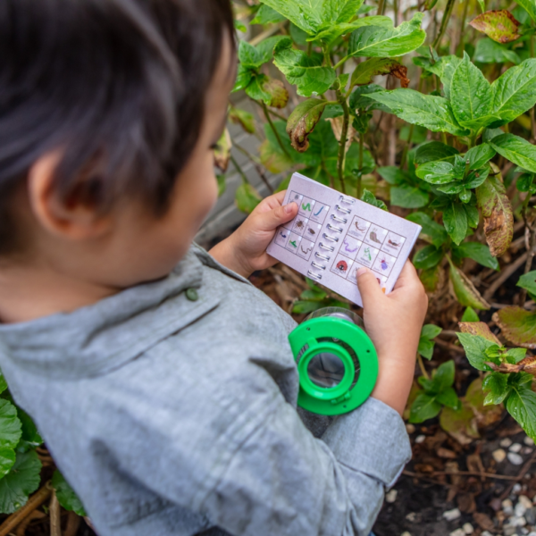 BUG SPOTTER KIT - Image 3
