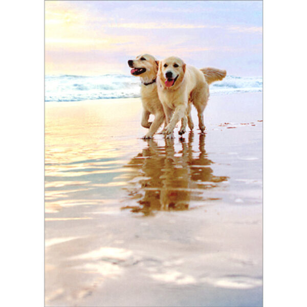GOLDEN DOGS ON BEACH ANNIVERSARY CARD