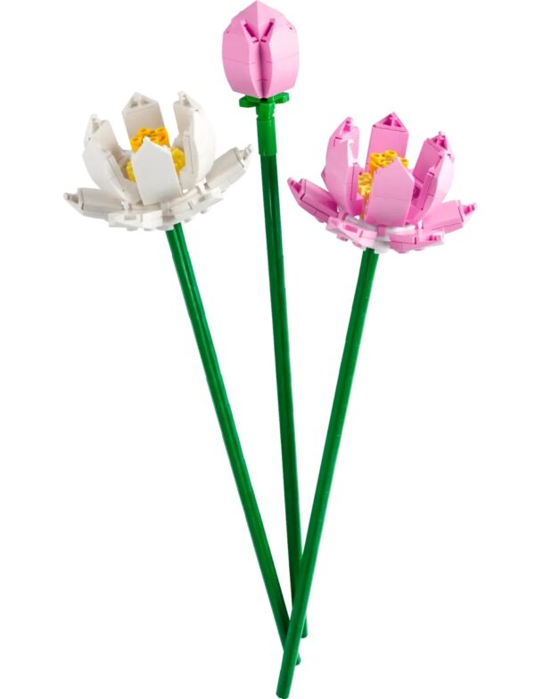 LOTUS FLOWERS