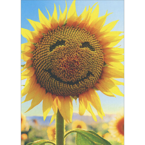 SUNFLOWER FACE BLANK INSIDE CARD