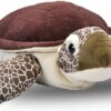 JUMBO SEA TURTLE