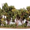 HEDGEROW 1"-4" 21 TREES