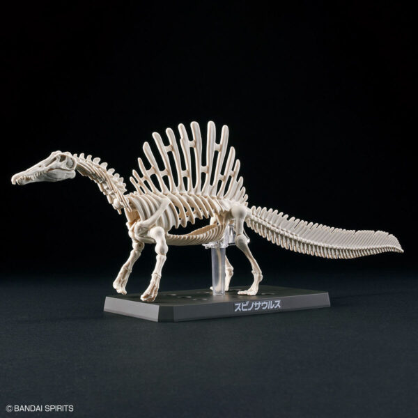 DINOSAUR SERIES #05 SPINOSAURUS - Image 4