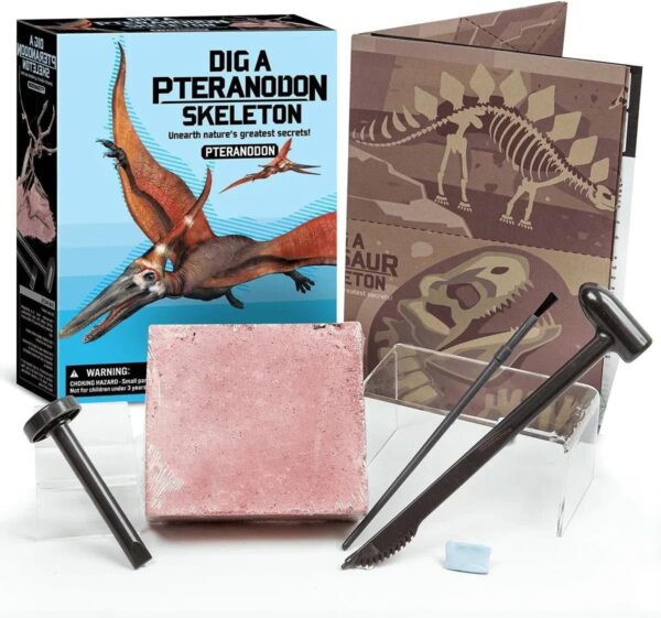 DIG A PTERANODON SKELETON - Image 2