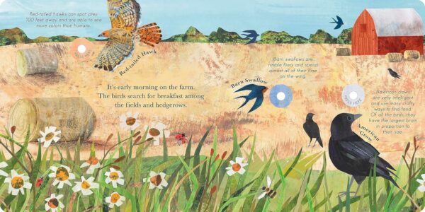 SONGS OF THE BIRDS/GUIDE/BIRD CALLS - Image 4
