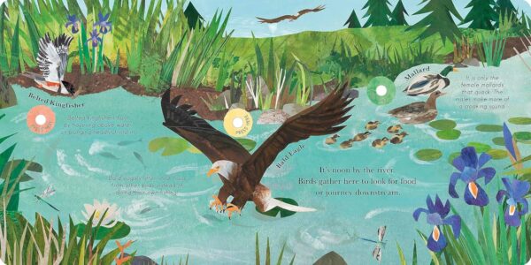 SONGS OF THE BIRDS/GUIDE/BIRD CALLS - Image 3