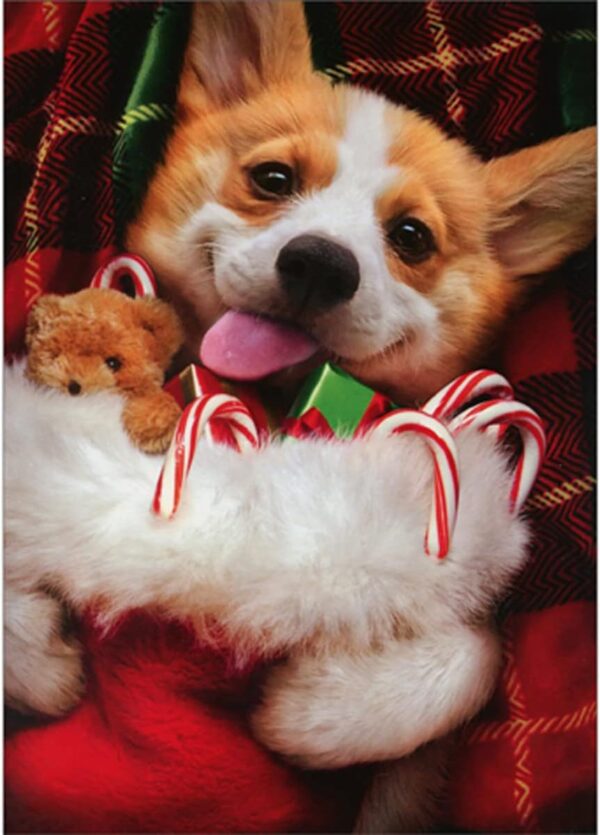 CHRISTMAS STOCKING CORGI CARD