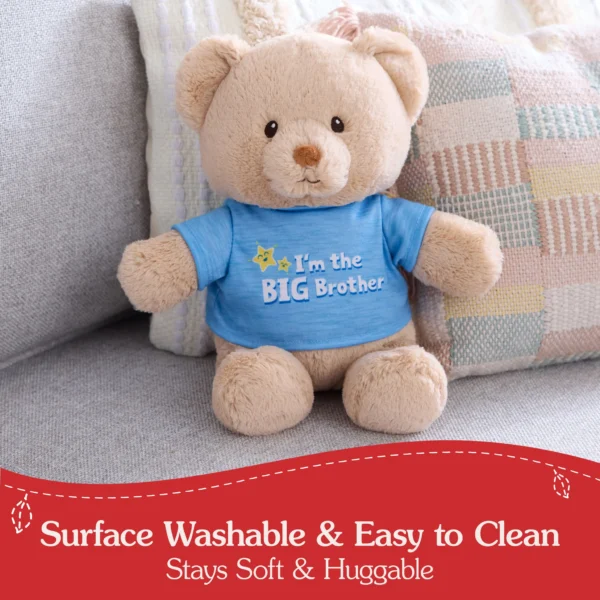 I'M THE BIG BROTHER MESSAGE BEAR - Image 4