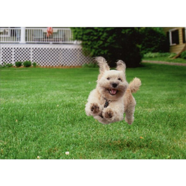 RUNNING DOG BIRTHDAY CARD