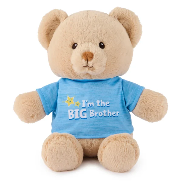 I'M THE BIG BROTHER MESSAGE BEAR