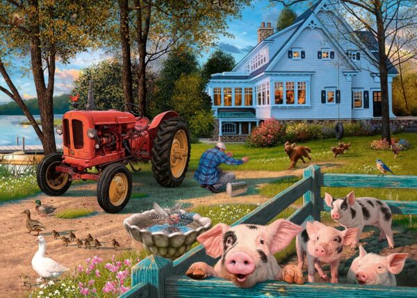 COUNTRY LIFE 300PC LARGE PCS - Image 2