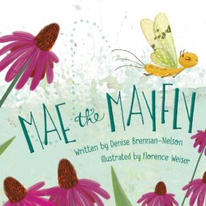 MAE THE MAYFLY