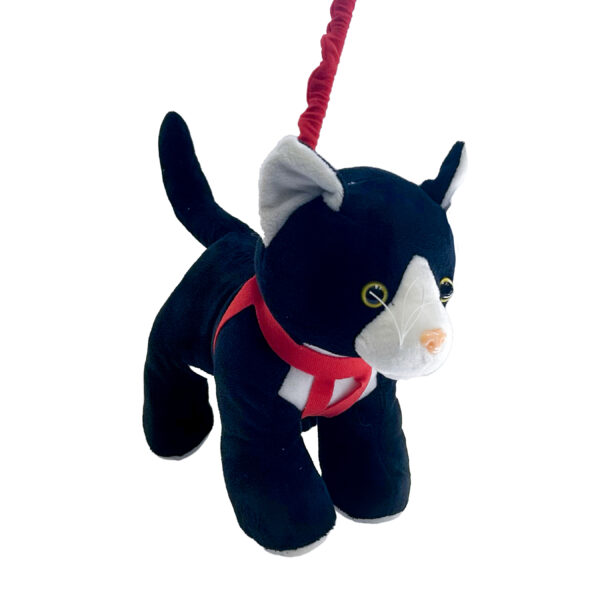 CATS ON A LEASH - Image 2