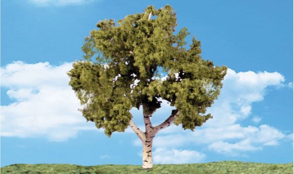 WATERS EDGE 3"-4" TREES
