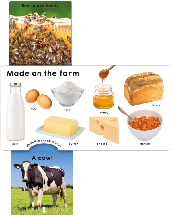 SLIDE & SURPRISE! FARM-PRIDDY BOOKS - Image 2