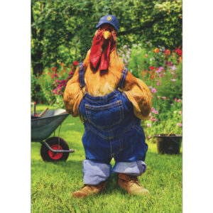 CHICKEN IN OVERALLS FATHER'S DAY CARD