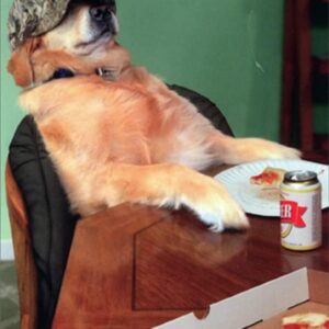 CHILL DOG WITH BEER FATHER'S DAY CARD