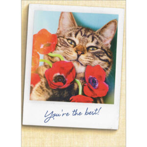 CAT HOLDING FLOWERS PHOTO
