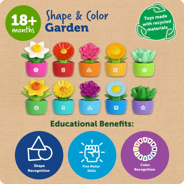 SHAPE & COLOR GARDEN - Image 6