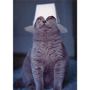 CAT W/TAKE OUT CONTAINER FATHER'S DAY
